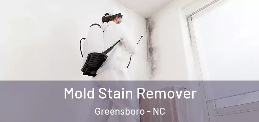  Mold Stain Remover Greensboro - NC