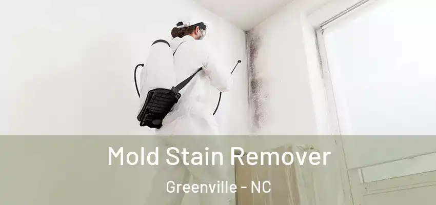  Mold Stain Remover Greenville - NC