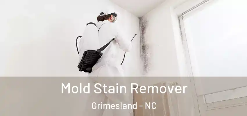 Mold Stain Remover Grimesland - NC
