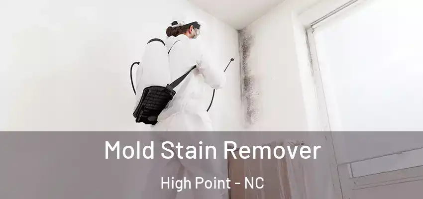  Mold Stain Remover High Point - NC