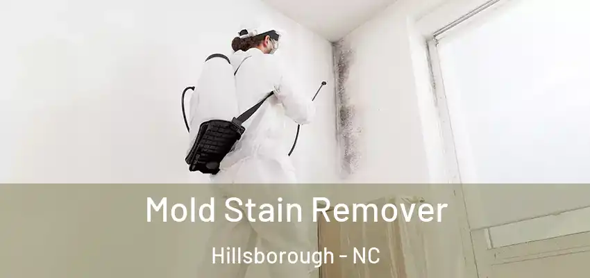  Mold Stain Remover Hillsborough - NC