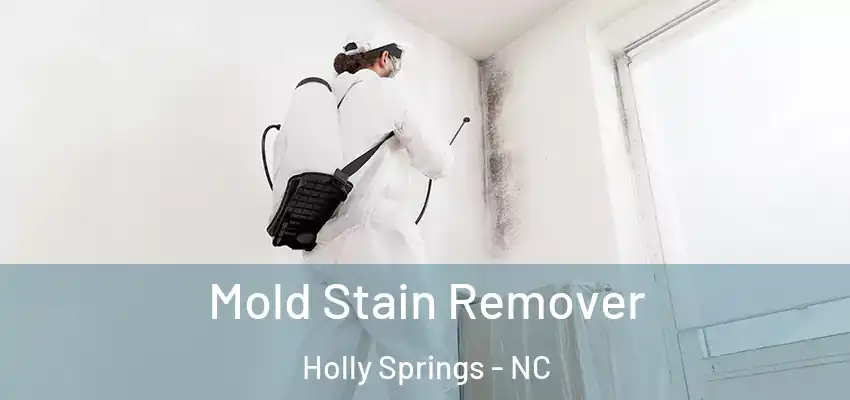 Mold Stain Remover Holly Springs - NC