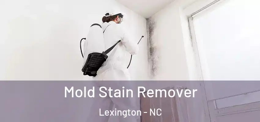 Mold Stain Remover Lexington - NC