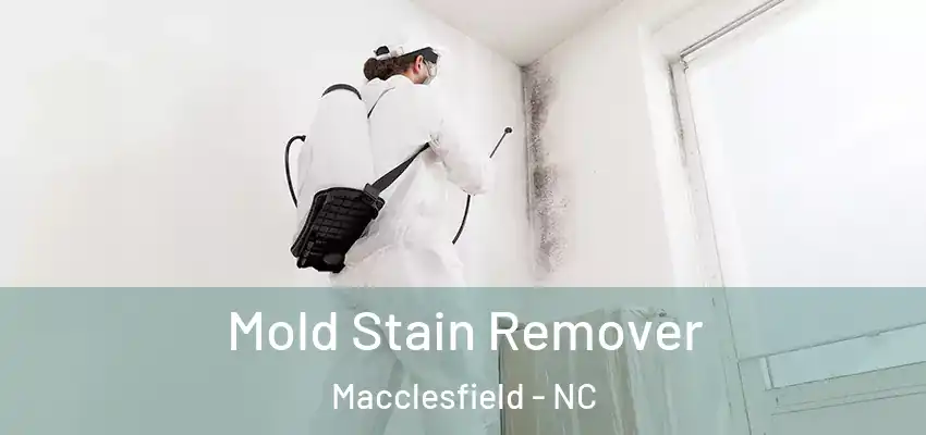 Mold Stain Remover Macclesfield - NC
