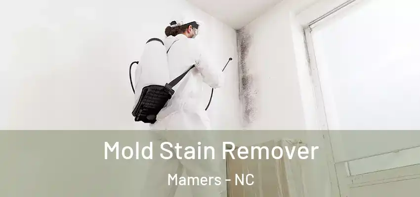 Mold Stain Remover Mamers - NC
