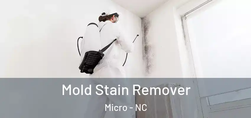 Mold Stain Remover Micro - NC