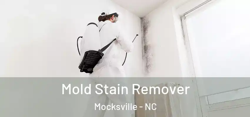 Mold Stain Remover Mocksville - NC