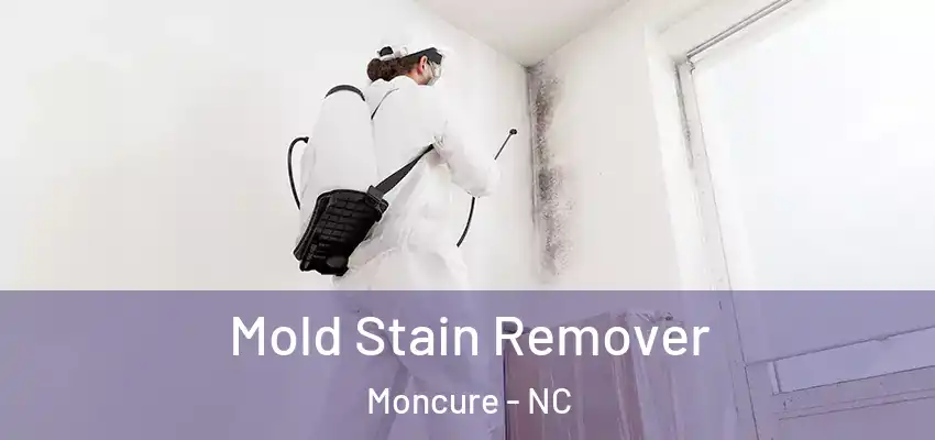  Mold Stain Remover Moncure - NC