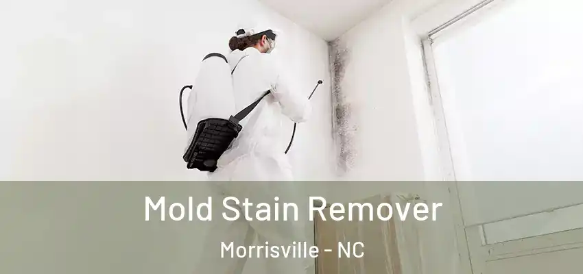 Mold Stain Remover Morrisville - NC