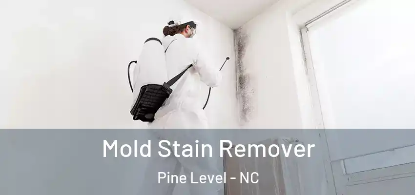 Mold Stain Remover Pine Level - NC
