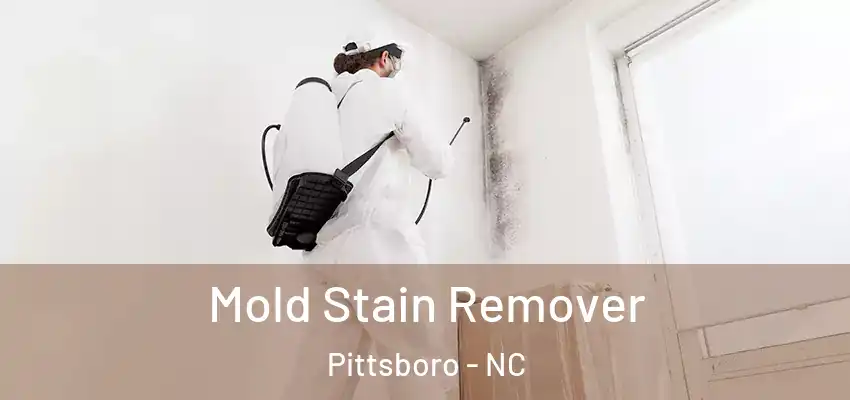  Mold Stain Remover Pittsboro - NC