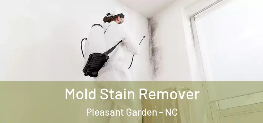  Mold Stain Remover Pleasant Garden - NC