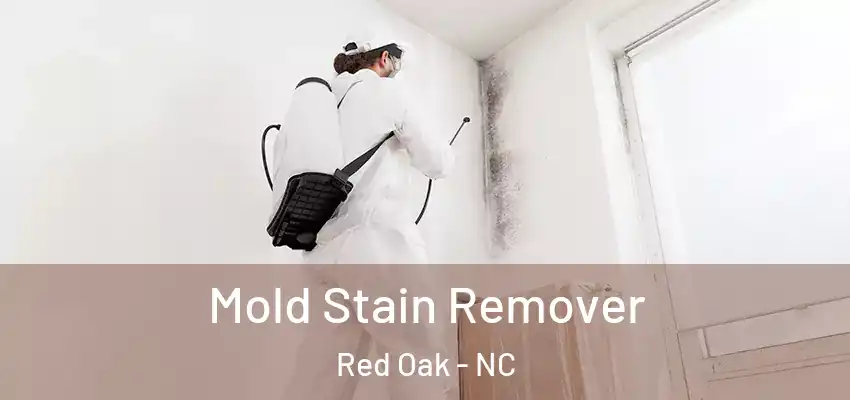  Mold Stain Remover Red Oak - NC
