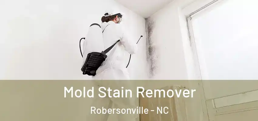 Mold Stain Remover Robersonville - NC
