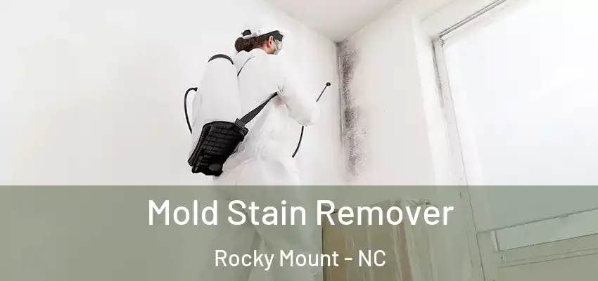 Mold Stain Remover Rocky Mount - NC