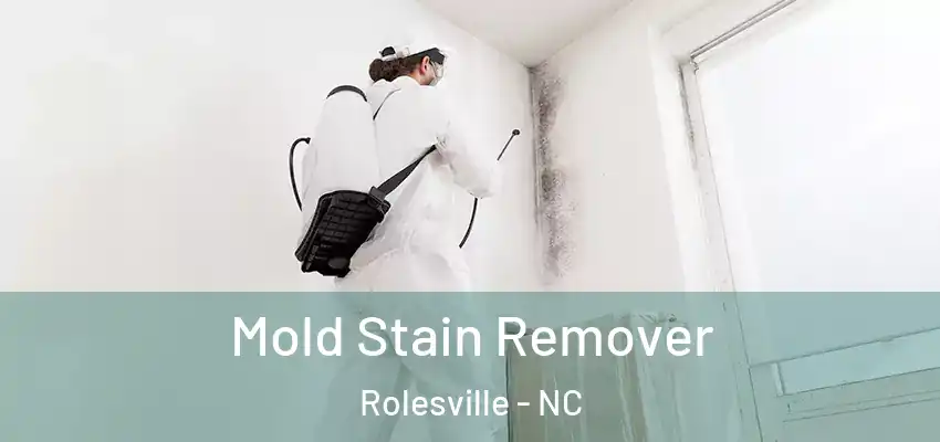  Mold Stain Remover Rolesville - NC