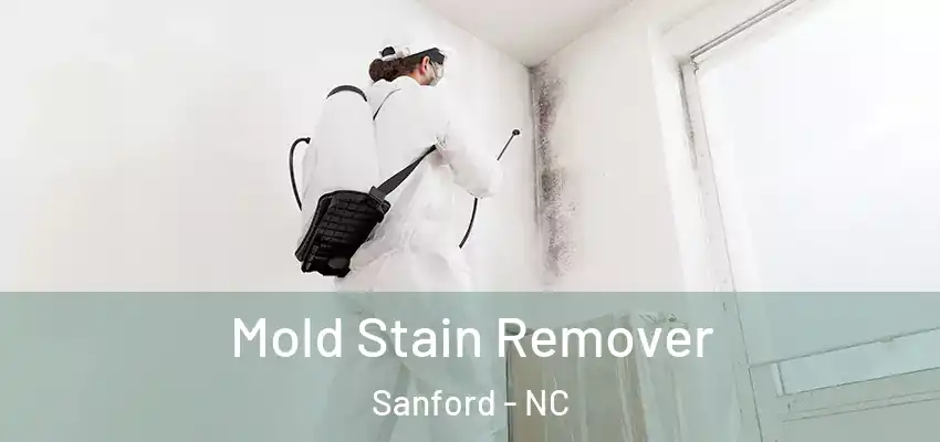 Mold Stain Remover Sanford - NC