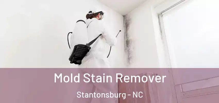  Mold Stain Remover Stantonsburg - NC