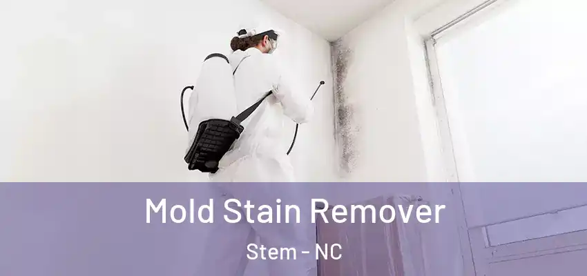 Mold Stain Remover Stem - NC