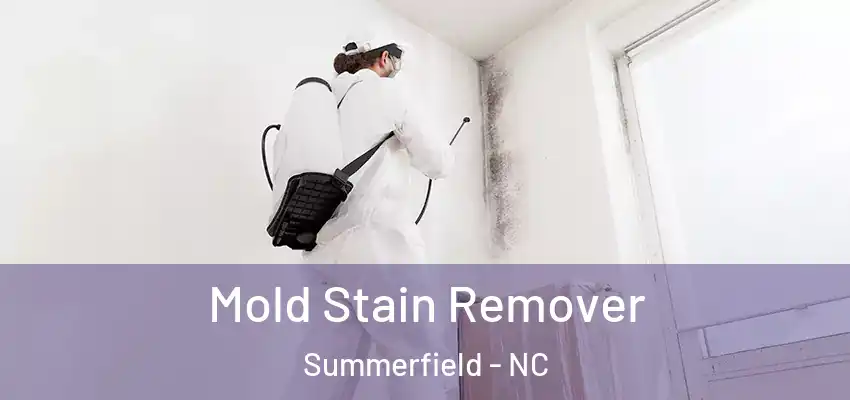Mold Stain Remover Summerfield - NC