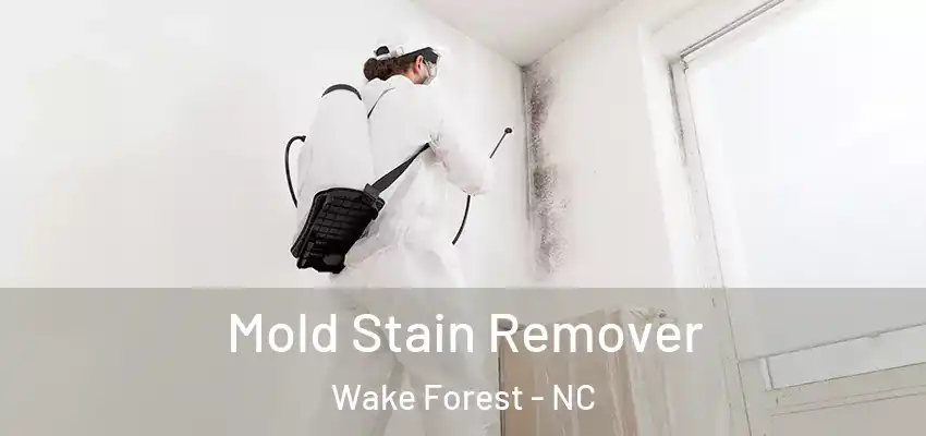 Mold Stain Remover Wake Forest - NC