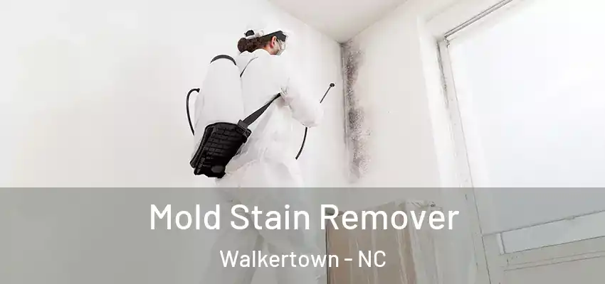  Mold Stain Remover Walkertown - NC