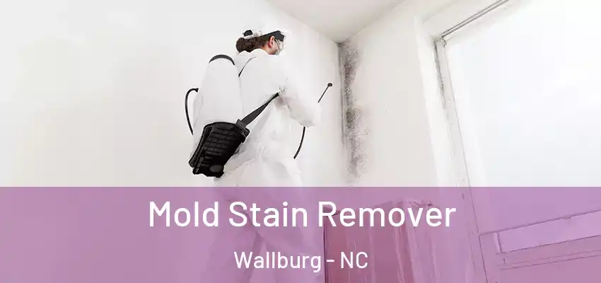  Mold Stain Remover Wallburg - NC