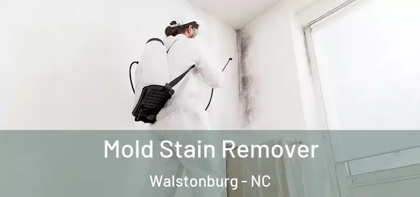 Mold Stain Remover Walstonburg - NC