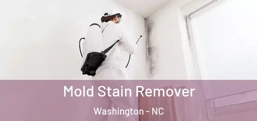 Mold Stain Remover Washington - NC