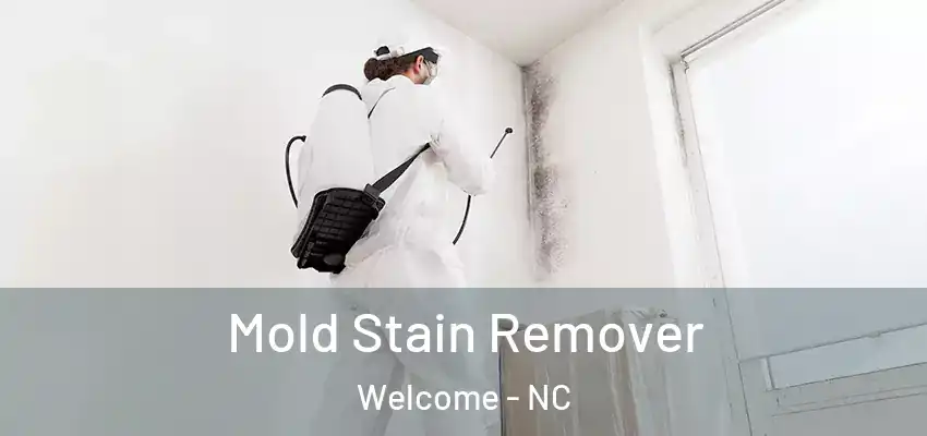 Mold Stain Remover Welcome - NC
