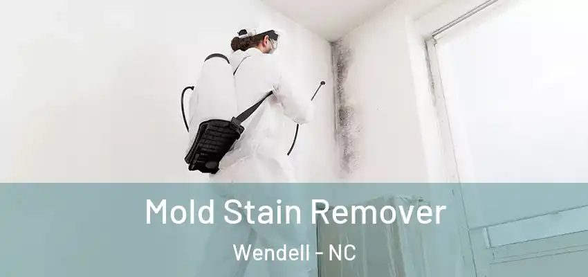  Mold Stain Remover Wendell - NC