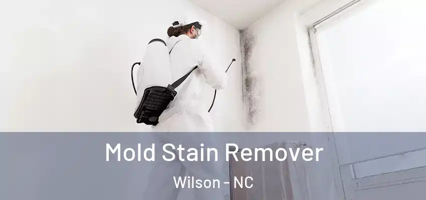 Mold Stain Remover Wilson - NC