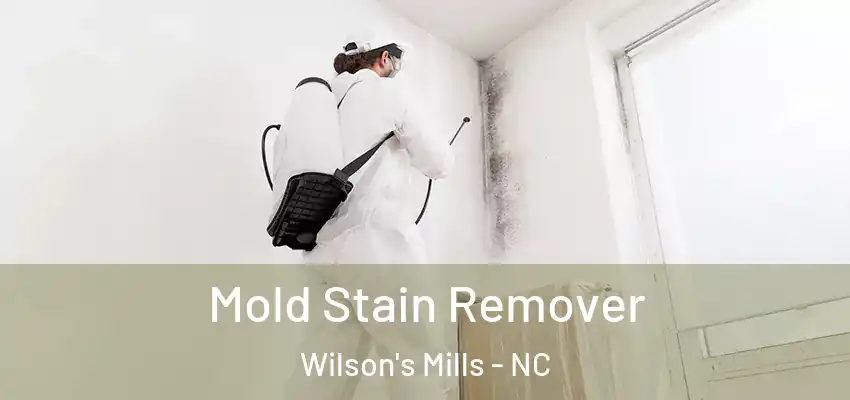 Mold Stain Remover Wilson's Mills - NC