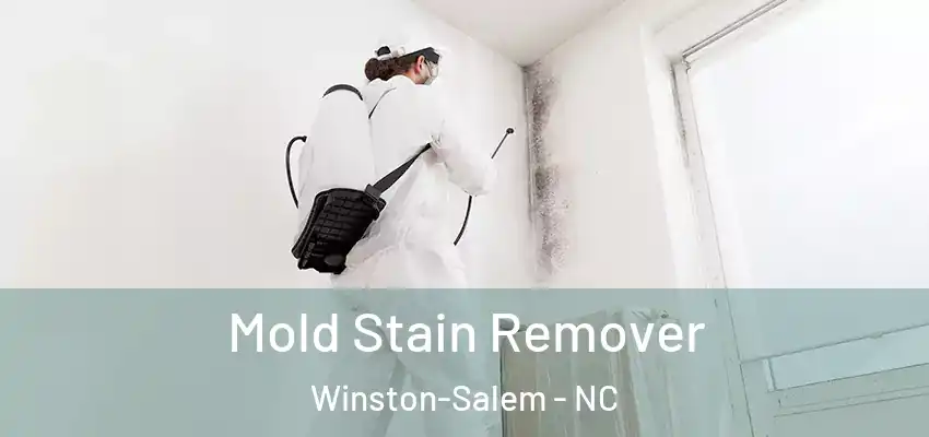  Mold Stain Remover Winston-Salem - NC
