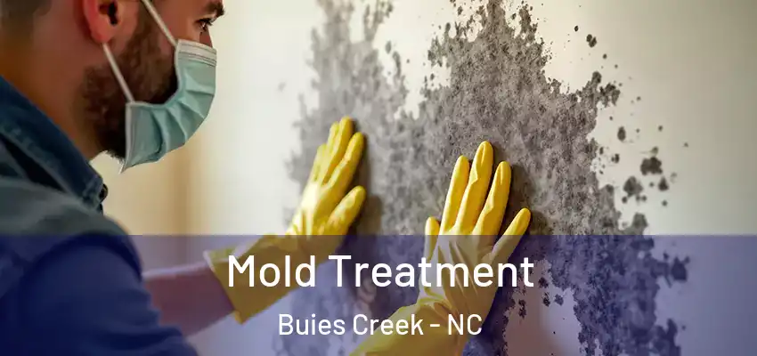 Mold Treatment Buies Creek - NC