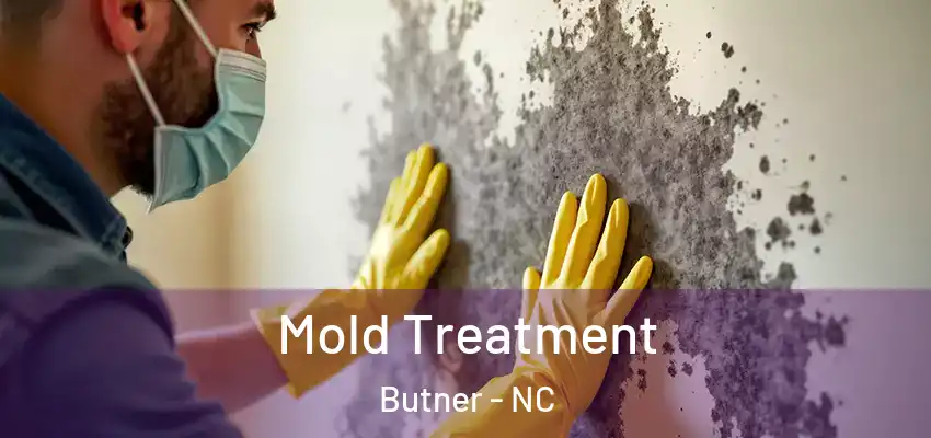  Mold Treatment Butner - NC