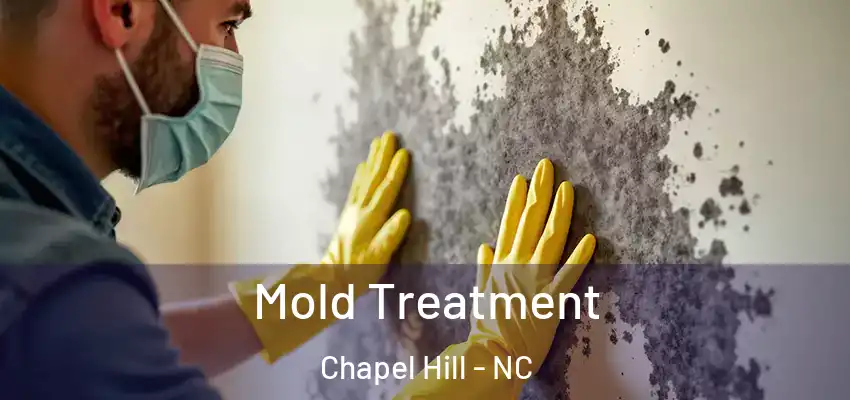 Mold Treatment Chapel Hill - NC