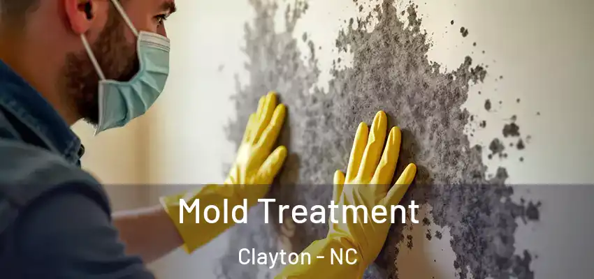 Mold Treatment Clayton - NC