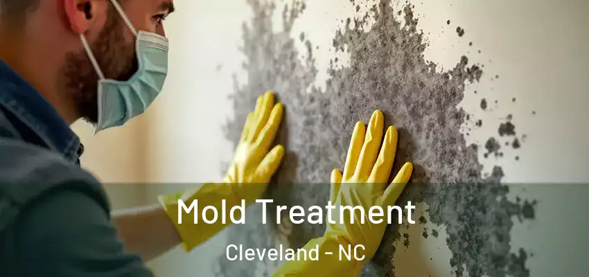  Mold Treatment Cleveland - NC