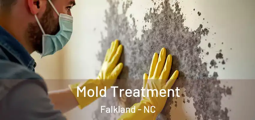  Mold Treatment Falkland - NC