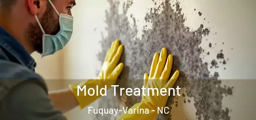 Mold Treatment Fuquay-Varina - NC
