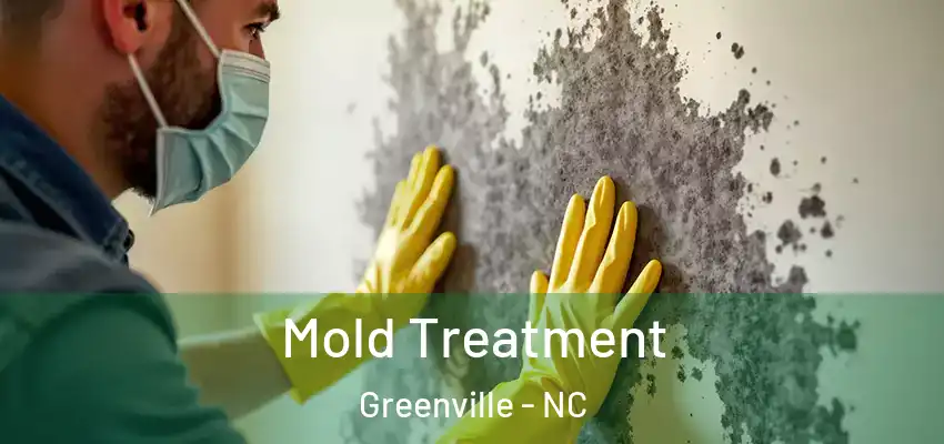  Mold Treatment Greenville - NC