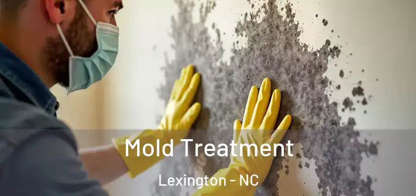 Mold Treatment Lexington - NC