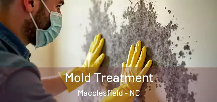  Mold Treatment Macclesfield - NC
