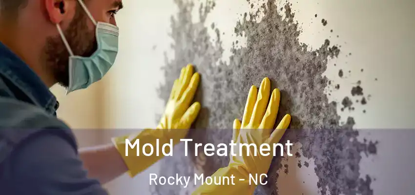 Mold Treatment Rocky Mount - NC