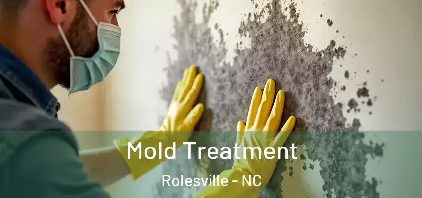 Mold Treatment Rolesville - NC