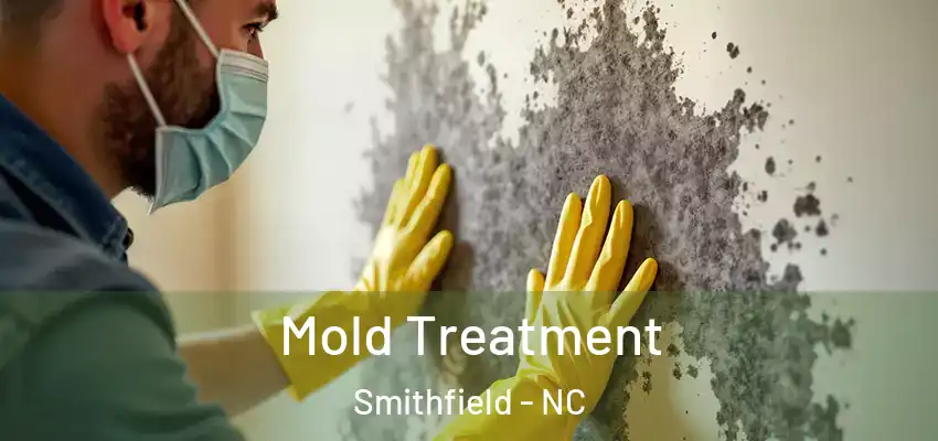 Mold Treatment Smithfield - NC