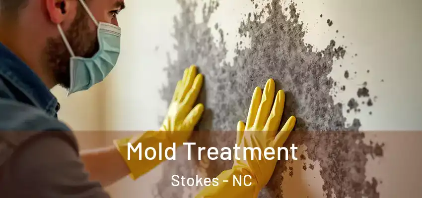 Mold Treatment Stokes - NC