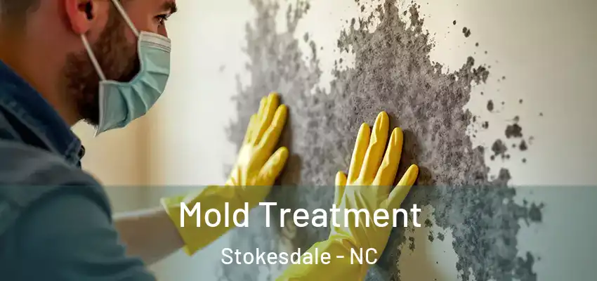 Mold Treatment Stokesdale - NC