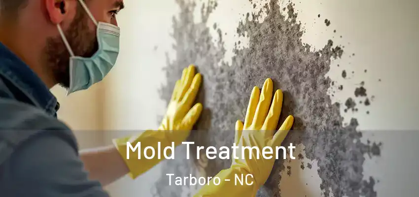  Mold Treatment Tarboro - NC